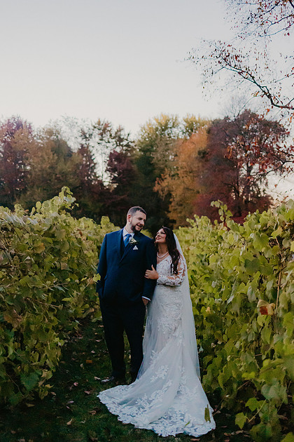 lininger_taliani_0624