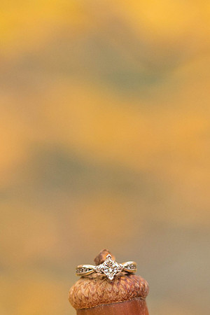 www.studiokatphotography.com