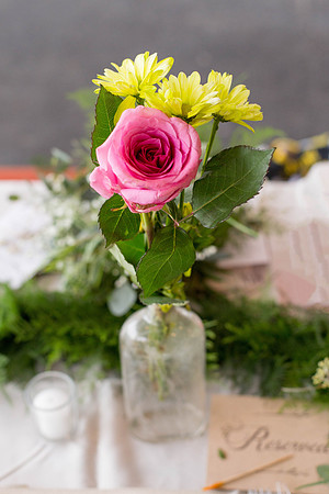 sebek_fiore_0832