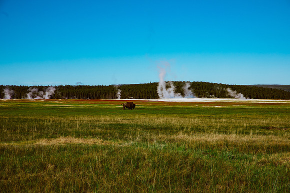 534A0821