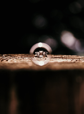 martincic_curran_0027