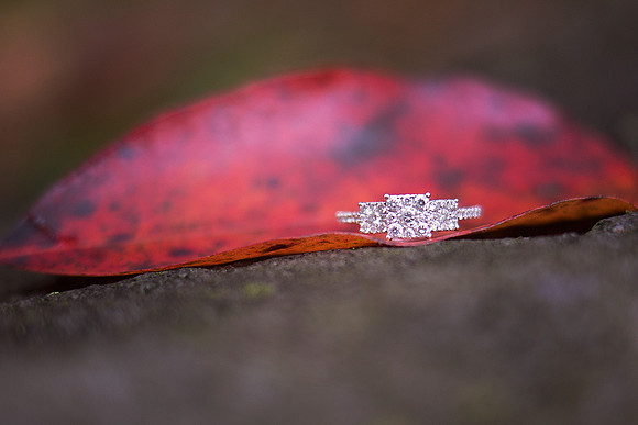 www.studiokatphotography.com
