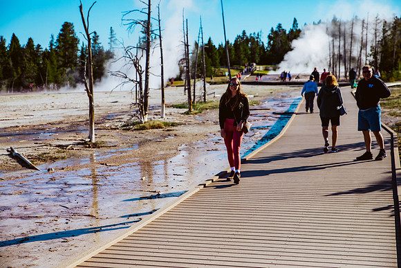 534A0833